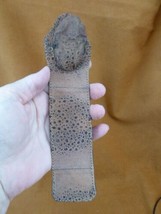 EL1000-5) genuine Cane TOAD head + feet legs Leather bookmark I love toads - £33.07 GBP