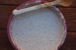 Live Sourdough Bread Starter San Francisco Beast+ Recipes Dry Powder Yeast mix21 - $9.00