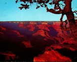 View From Hopi Point Grand Canyon National Park Arizona AZ Chrome Postca... - $2.63