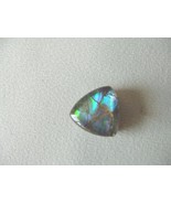 (J-491) triangle Green blue Ammolite fossil shell cabochon nautilus for ... - $84.99