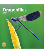 2024 Dragonflies Monthly Wall Calendar by Bright Day, 12 X 12 Inch Insec... - £7.40 GBP
