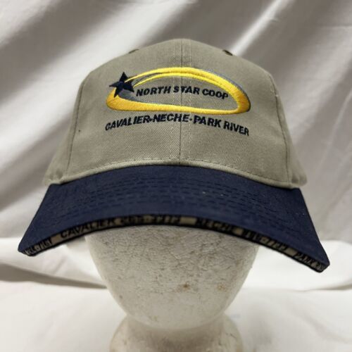 trucker hat baseball Cap Vintage North Star Coop Cavalier Neche Park Riv... - $39.99