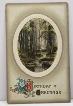 Birthday Greetings Wooded Creek Scene Woonsocket RI Embossed 1910 Postcard G17  - $3.95