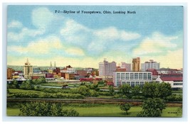 Vintage Skyline North Youngstown OH Landscape Postcard - $7.00