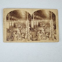 Antique 1884 New Orleans Exposition Stereoview California Pampas Grass G&amp;S RARE - £157.26 GBP