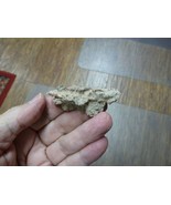r352-73c) 2-1/4&quot; Fulgurite lightning strike beach sand glass West Texas ... - €21,91 EUR