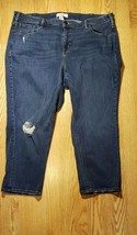 Lane Bryant Women&#39;s Jeans Plus Size 24P Denim Distressed Ladies CUTE NICE - £14.75 GBP