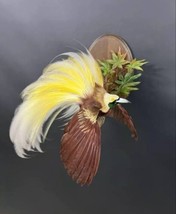 Museum Quality BIRD OF PARADISE Taxidermy Mount - $2,500.00