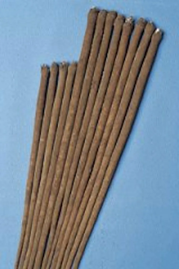 50 Early Arctium lappa Seeds Burdock Gobo Watanabe Non-GMO - $111.56 MXN