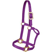 Horse Nylon HALTER  Bling Tack Noseband  Colt Weaning 60639W - $24.74