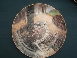 Little Owl Collector Plate Watchful Eyes Trevor Boyer Owls Danbury Mint - £15.67 GBP