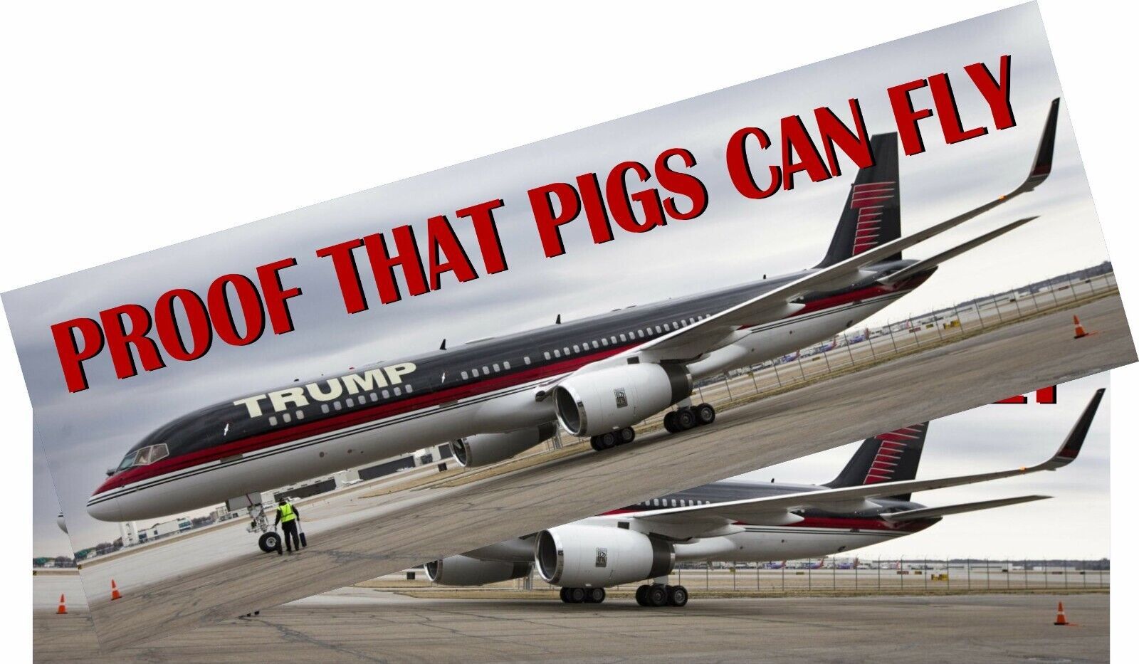 ANTI TRUMP Bumper Sticker or Magnet PAIR Proof PIGS CAN FLY Set of Decal... - $5.93+