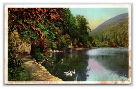 Saco Lake Crawford House White Mountains NH  Detroit Publishing DB  Postcard H20 - £2.32 GBP