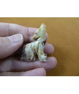 Y-COY-25) little gray tan COYOTE wolf wild dog SOAPSTONE stone PERU FIGU... - €7,69 EUR