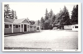 Postcard General View Sequoia Gardens Santa Cruz California CA - £2.95 GBP