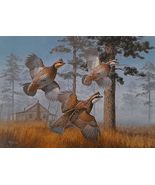 Bobwhite Quail by David Maass - International Quail Foundation - 1982 Re... - £57.59 GBP