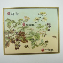 Victorian Greeting Card Raphael Tuck Flowers Blackberries Butterfly Bee Antique - £7.85 GBP