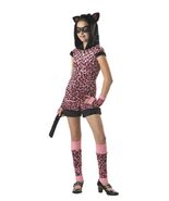 Tween Black Pink Cat&#39;s Meow Costume 12-14 XL Mean Kitty Alley Cat Burgla... - $451.47 MXN