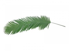 Europalms Coconut King Palm Frond, Artificial, 180cm - £39.11 GBP