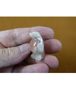 (Y-PEN-510b) little 1&quot; tan white Agate PENGUIN ice baby bird gemstone FI... - $11.74 CAD