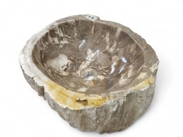 Wash Basin Fossilized Wood Natural Stone Attachment Washbowl Bathroom Beige - $676.70