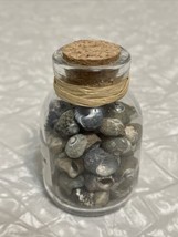 Sea Shells In A Glass Jar Bottle With Cork on Top - Gift/Décor Item. 3” tall. - £7.78 GBP