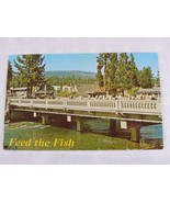 Feed The Fish &quot;Rump Row&quot; Trout Bridge &amp; River, Tahoe City California Pos... - £2.73 GBP