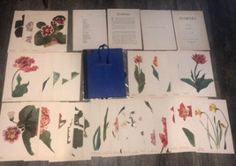 Spring Flowers Portfolio Arlette Davids 31 Color Plates Lithographs 1948... - £77.32 GBP