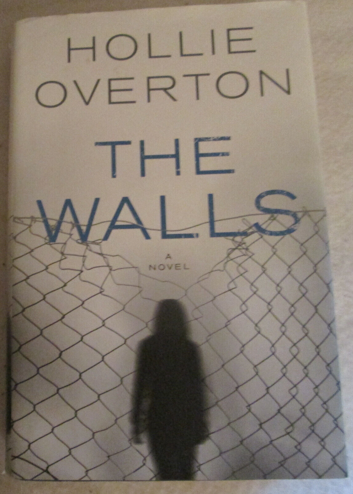 Primary image for The Walls Hardcover with Jacket By HOLLIE OVERTON NOVEL