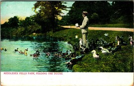 Feeding Ducks Middlesex Fells Park Boston Massachusetts MA UNP DB Postcard E7 - £3.15 GBP