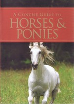 USED BOOK A Concise Guide to Horses &amp; Ponies - Corinne Clark (Paperback) - £3.12 GBP
