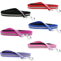 Doggie Design 5 ft Reflective Nylon Dog Leash with Soft Grip Handle - 6 ... - $284.91 MXN