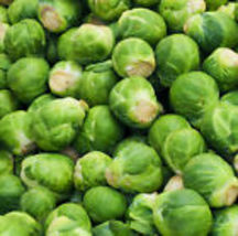 Catskill Brussel Sprout 200 Seeds  Fresh Garden Seeds |Heirloom Non-GMO - £9.54 GBP