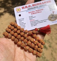 LAB CERTIFIED 6 Mukhi RUDRAKSHA Rudraksh Mala ROSARY 108+1 Bead Prayer B... - £21.86 GBP