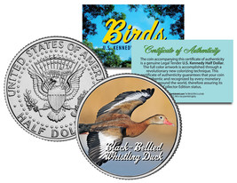BLACK-BELLIED WHISTLING DUCK *Collectible Birds* JFK Half Dollar Coloriz... - $224.81 MXN