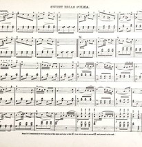 1886 Sweet Briar Polka Sheet Music Parlor Organ Victorian 11.5 x 9&quot; Ephe... - £12.48 GBP