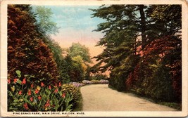 Pine Banks Park Main Drive Malden MA Postcard PC99 - $4.99