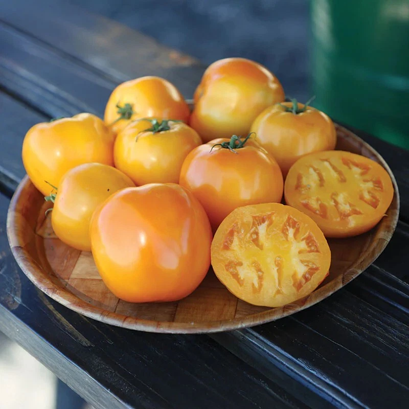50+ Seeds Yellow Cream Tomato Tomatoe Vegetable Garden Edible Canning - $10.02