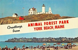 York Beach Maine~Animal Forest PARK-1974 Split Image~Greetings From Postcard - £3.51 GBP