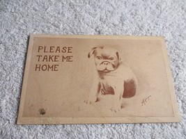 Please take me home 1910 Dog pet Humor Postcard UnPosted - £27.18 GBP