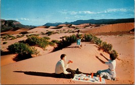 A Zion Picnic Zion Park UT Postcard PC76 - £4.02 GBP