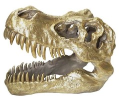 Giant Oversized 17.7” L Gold T-Rex Dinosaur Fossil Head Statue - £425.71 GBP
