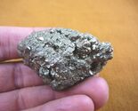 (R-502) Pyrite Huanzala Mine mineral Fool's Gold Iron sulfide rock specimen - $14.99