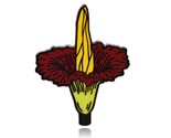 Titan Arum Corpse Plant Flower Hard Enamel Pin - $9.99