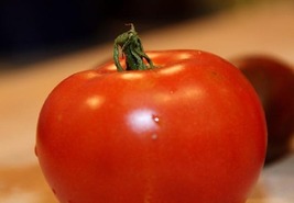 Fourth of July Tomato Plant - 4&quot; Pot - Ripens in 44 days! - $29.99