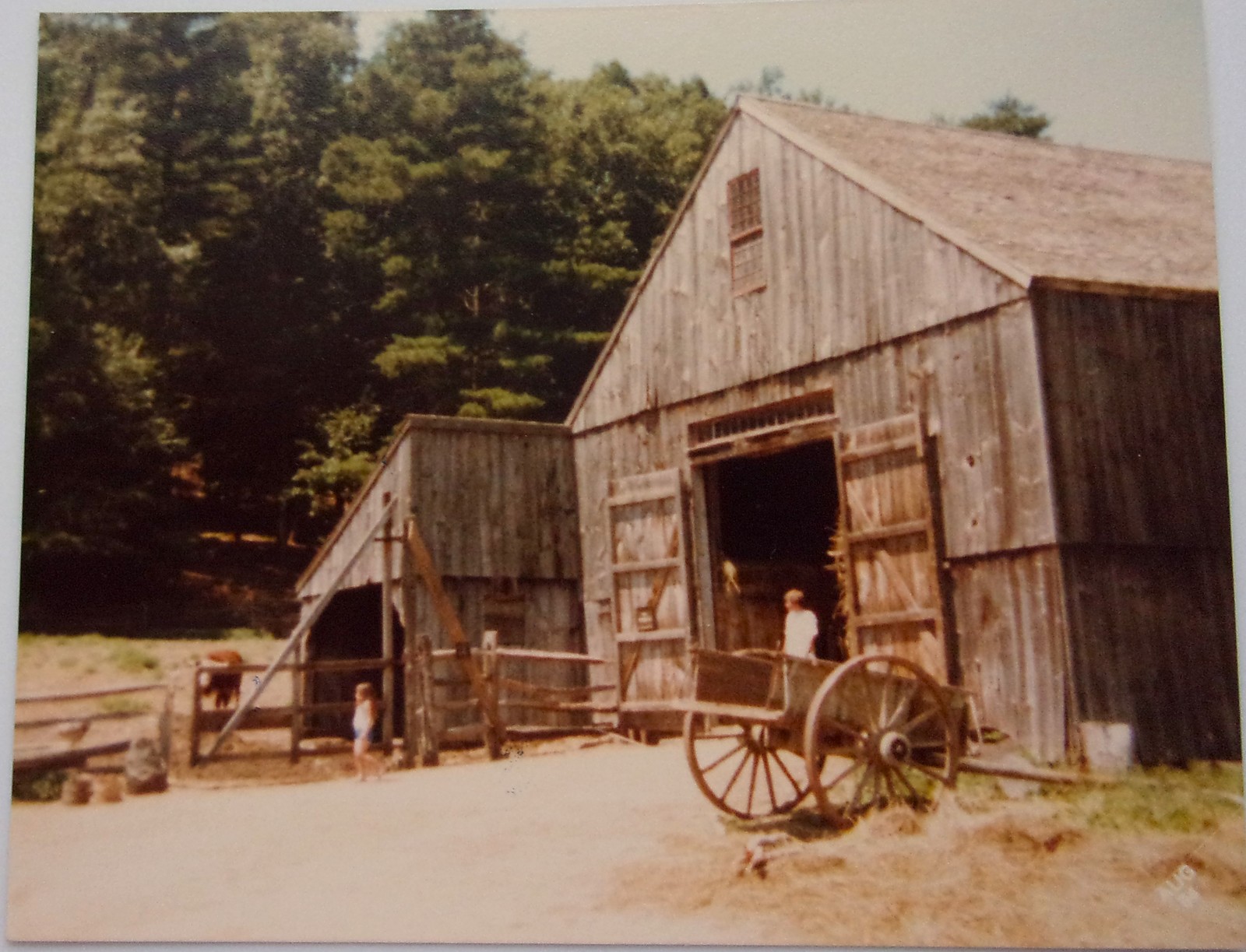 Vintage Barns Old Strubridge Village, Massachusetts 1984 - $1.99