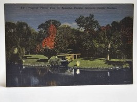 Sarasota FL, Sarasota Jungle Gardens, Flame Vine, Florida Vintage Postcard - £11.73 GBP