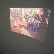 Super 8 Home Movie 1970s Family Rural Animals Bicycles Gulf Oil Truck Kids - $18.89