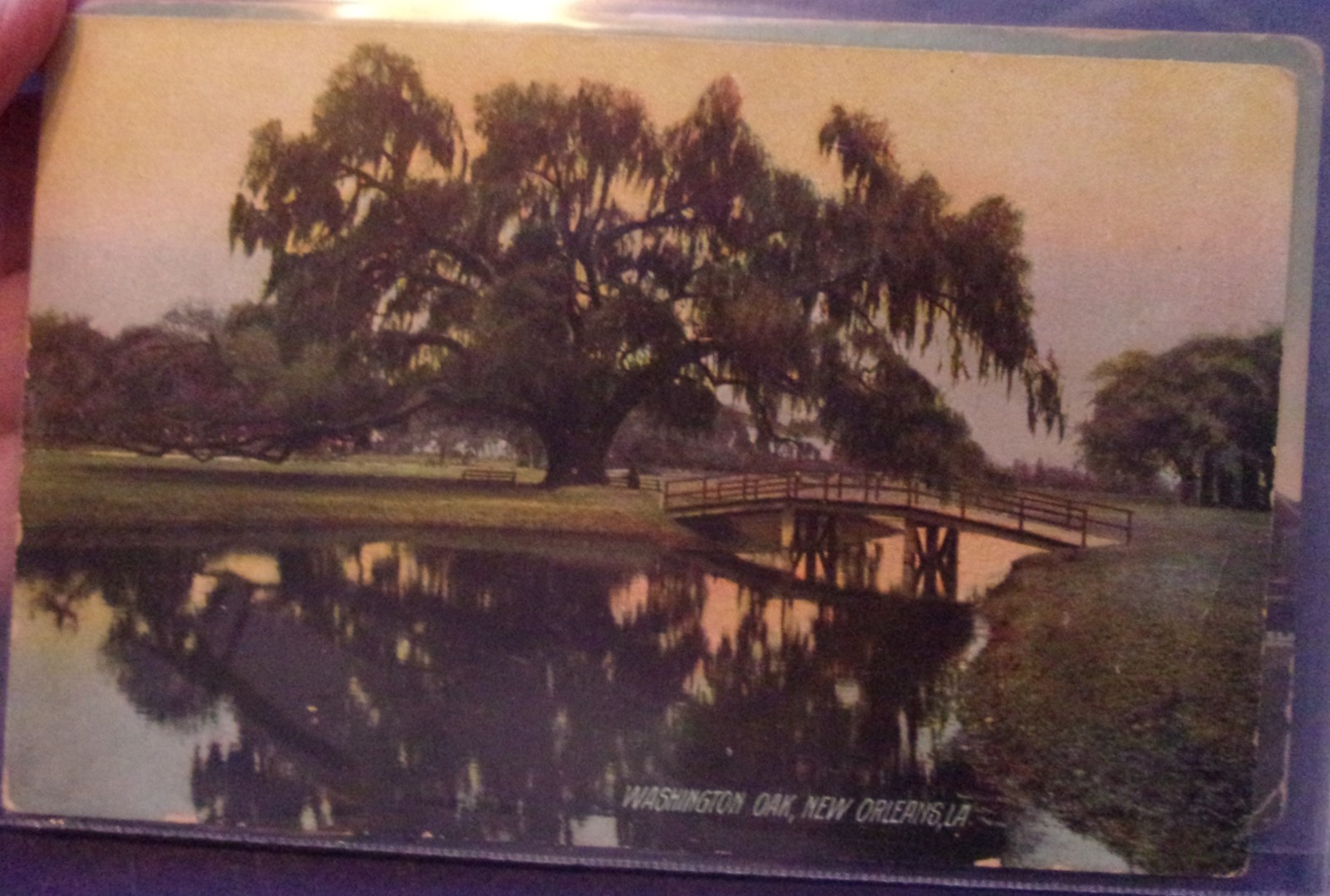 Vintage Washington Oak New Orleans LA Lithograph Postcard - $4.99