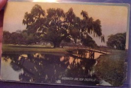 Vintage Washington Oak New Orleans LA Lithograph Postcard - £3.94 GBP
